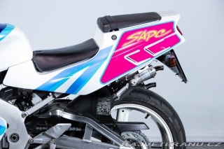 Suzuki RG RGV GAMMA 250 1992