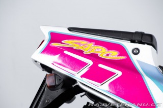 Suzuki RG RGV GAMMA 250 1992