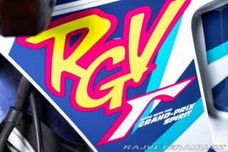 Suzuki RG RGV GAMMA 250 1992