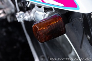 Suzuki RG RGV GAMMA 250 1992