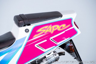 Suzuki RG RGV GAMMA 250 1992