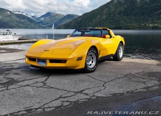 Chevrolet Corvette C3 Targa 1981