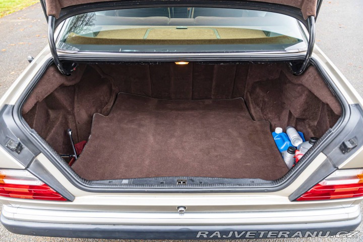 Mercedes-Benz 300 Benz W124 300 CE 1991