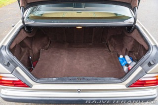 Mercedes-Benz 300 Benz  W124 300 CE 1991
