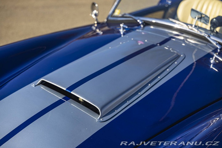 Cobra Ostatní modely Shelby Cobra Replika 1981
