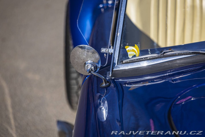 Cobra Ostatní modely Shelby Cobra Replika 1981
