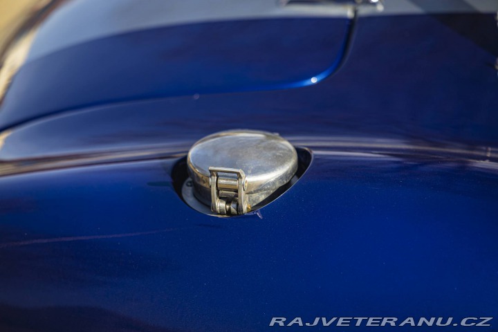 Cobra Ostatní modely Shelby Cobra Replika 1981