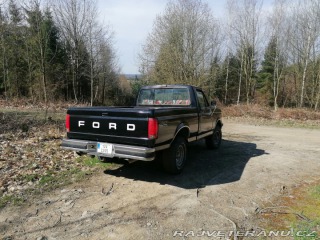 Ford F 150 1991