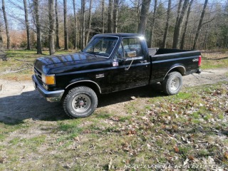 Ford F 150 1991