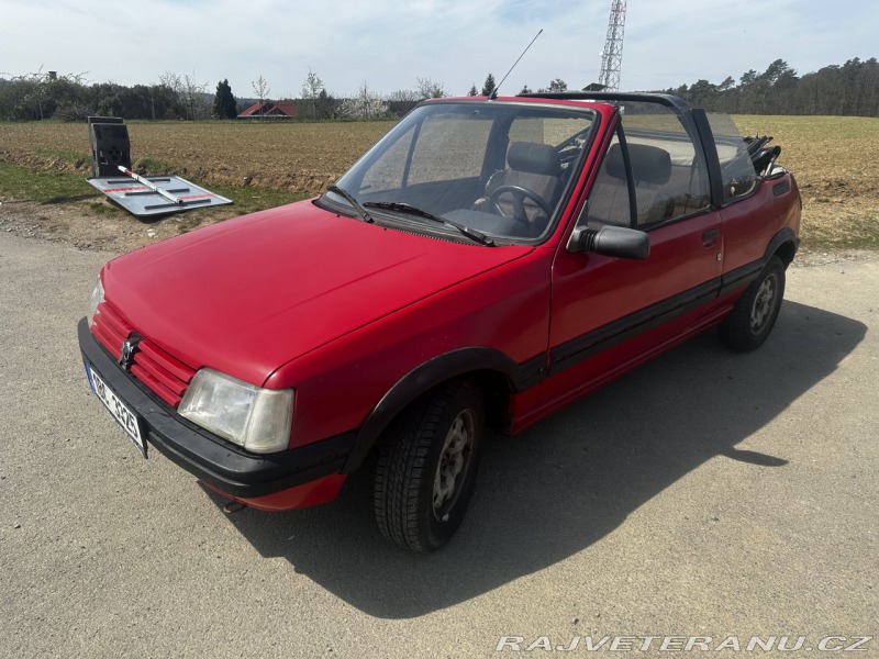 Peugeot 205 