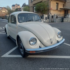 Volkswagen Brouk 11