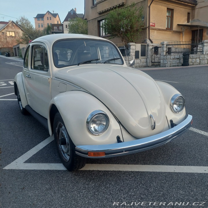 Volkswagen Brouk 11 1976