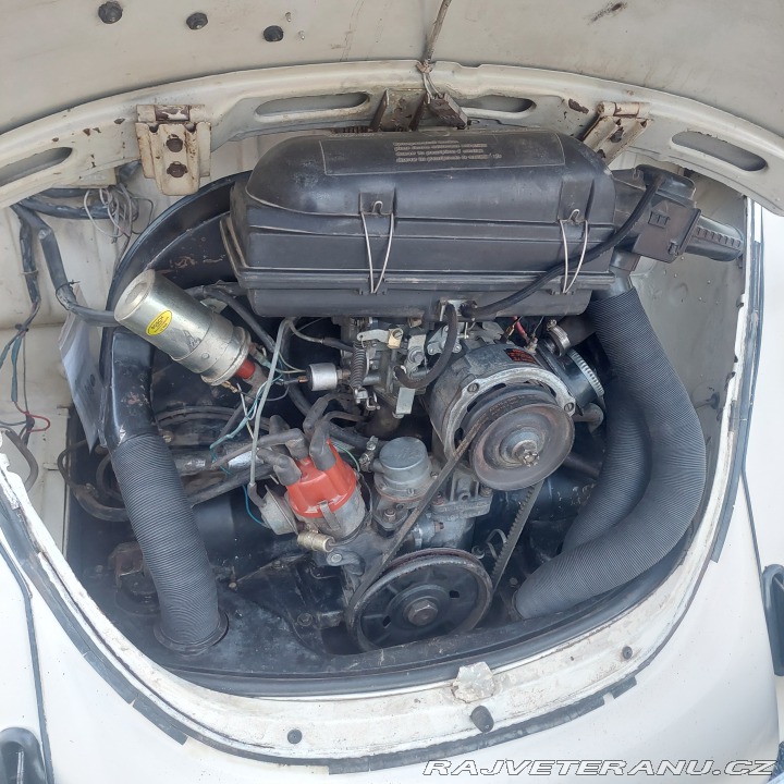 Volkswagen Brouk 11 1976
