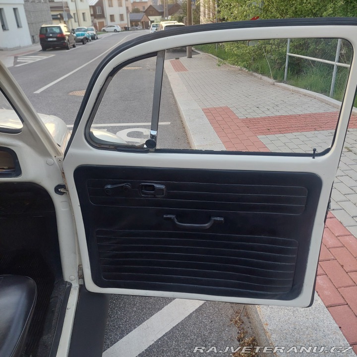 Volkswagen Brouk 11 1976