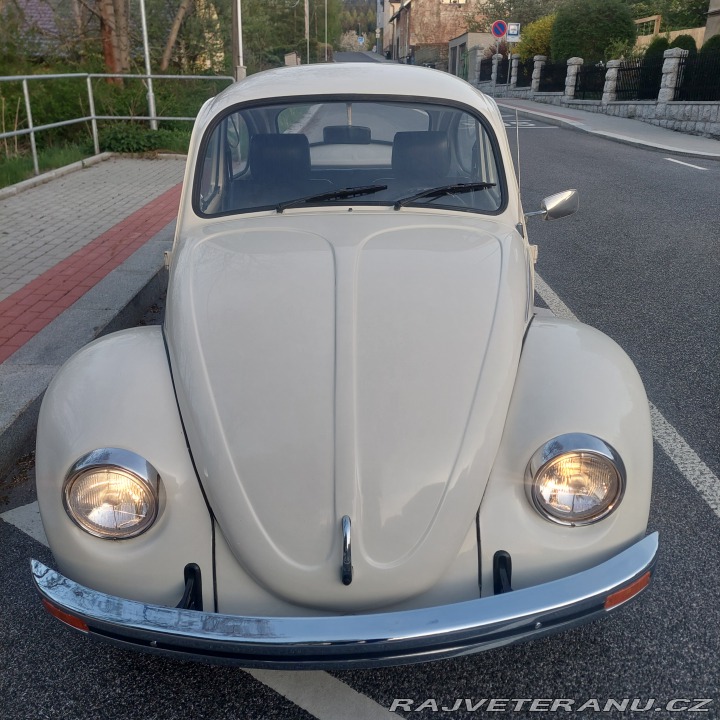 Volkswagen Brouk 11 1976