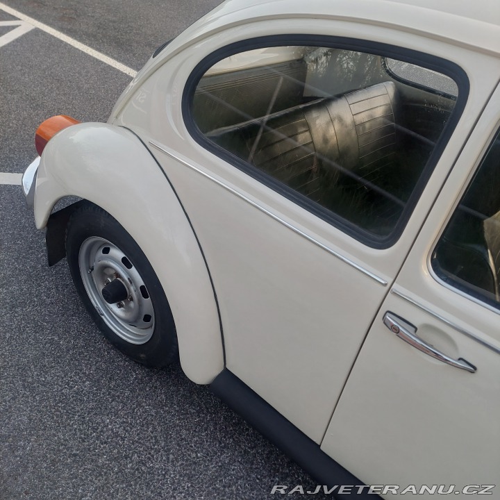 Volkswagen Brouk 11 1976