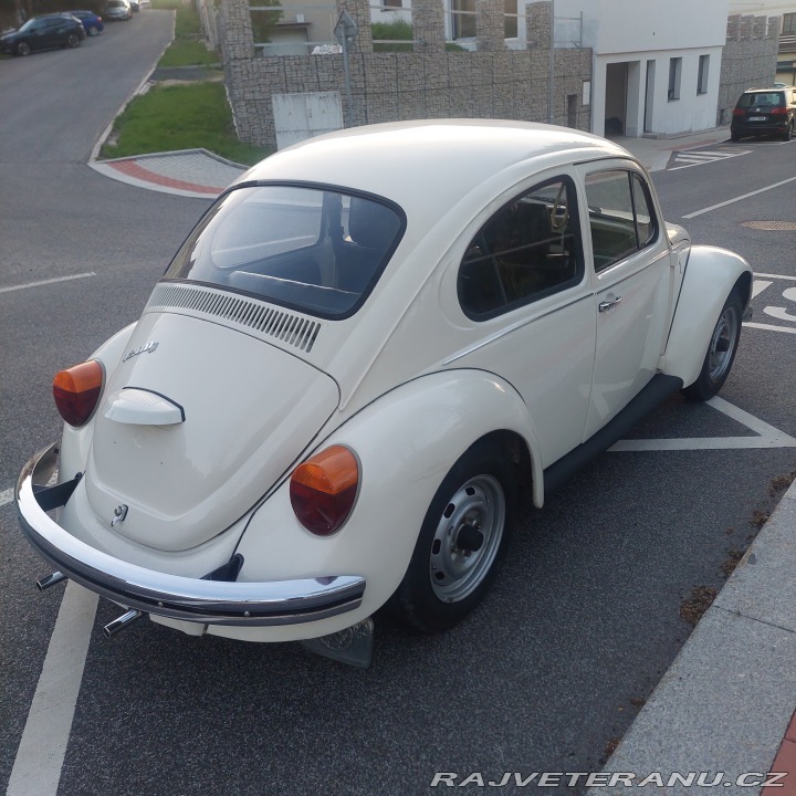 Volkswagen Brouk 11 1976