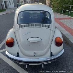Volkswagen Brouk 11 1976