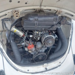 Volkswagen Brouk 11 1976
