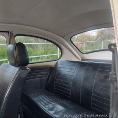 Volkswagen Brouk 11 1976