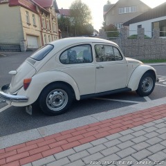 Volkswagen Brouk 11 1976