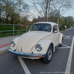 Volkswagen Brouk 11 1976