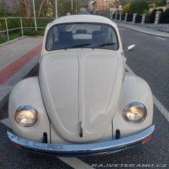 Volkswagen Brouk 11 1976