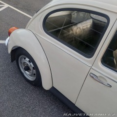 Volkswagen Brouk 11 1976