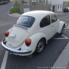 Volkswagen Brouk 11 1976