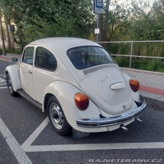 Volkswagen Brouk 11 1976