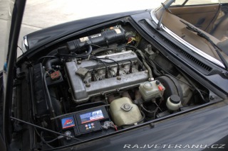 Alfa Romeo Spider  1984