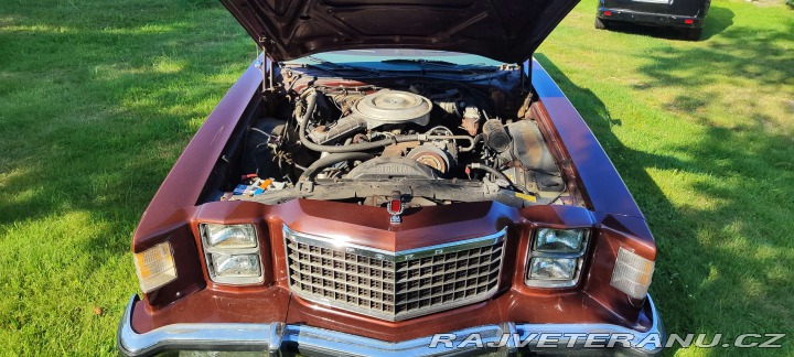 Ford Ranchero GT 1979