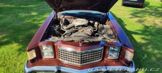 Ford Ranchero GT 1979