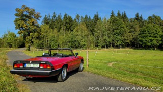Alfa Romeo Spider 2.0 Graduate 1986