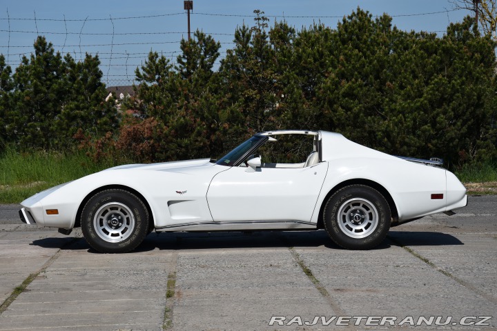 Chevrolet Corvette C3 TARGA / T - TOP 1977