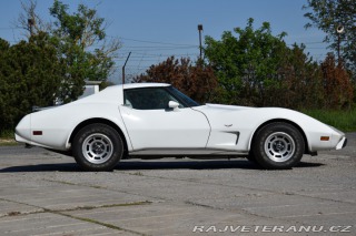 Chevrolet Corvette C3 TARGA / T - TOP 1977