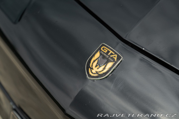 Pontiac Firebird TRANS-AM 1989