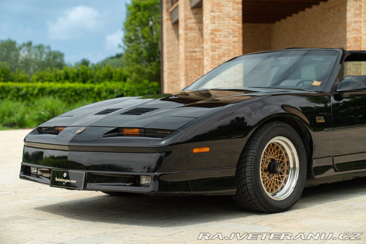 Pontiac Firebird TRANS-AM 1989