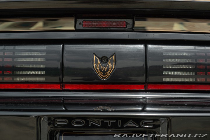 Pontiac Firebird TRANS-AM 1989