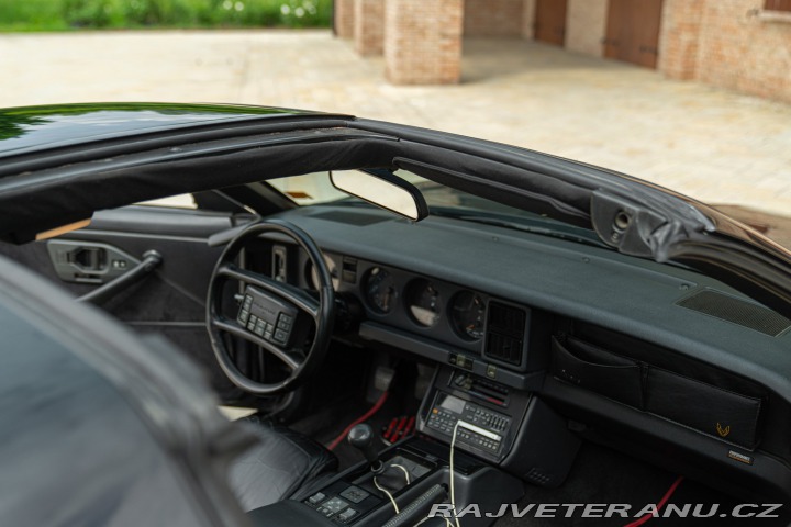 Pontiac Firebird TRANS-AM 1989