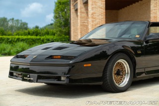Pontiac Firebird TRANS-AM 1989