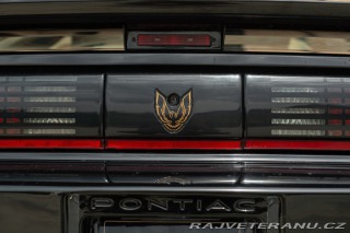 Pontiac Firebird TRANS-AM 1989