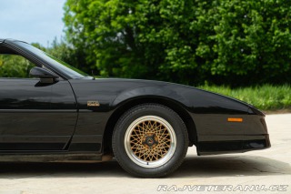 Pontiac Firebird TRANS-AM 1989