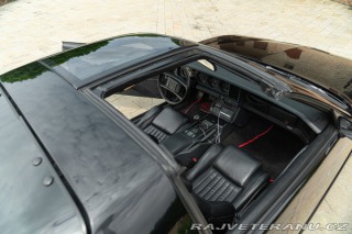 Pontiac Firebird TRANS-AM 1989