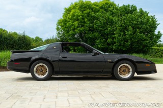 Pontiac Firebird TRANS-AM 1989