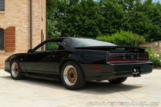 Pontiac Firebird TRANS-AM 1989