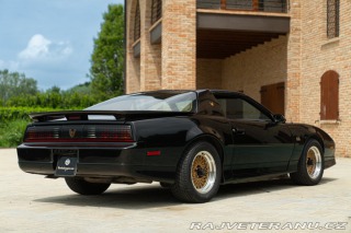 Pontiac Firebird TRANS-AM 1989