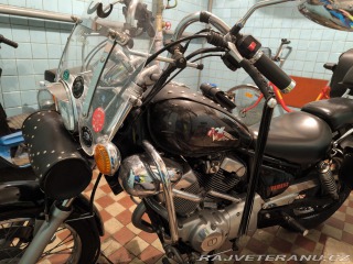 Yamaha Virago Xv 250