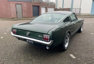Ford Mustang GT350 1966