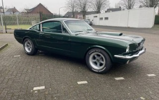 Ford Mustang GT350 1966